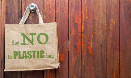 4 Reasons Eco-Conscious Retail Businesses Should Use Jute Bags